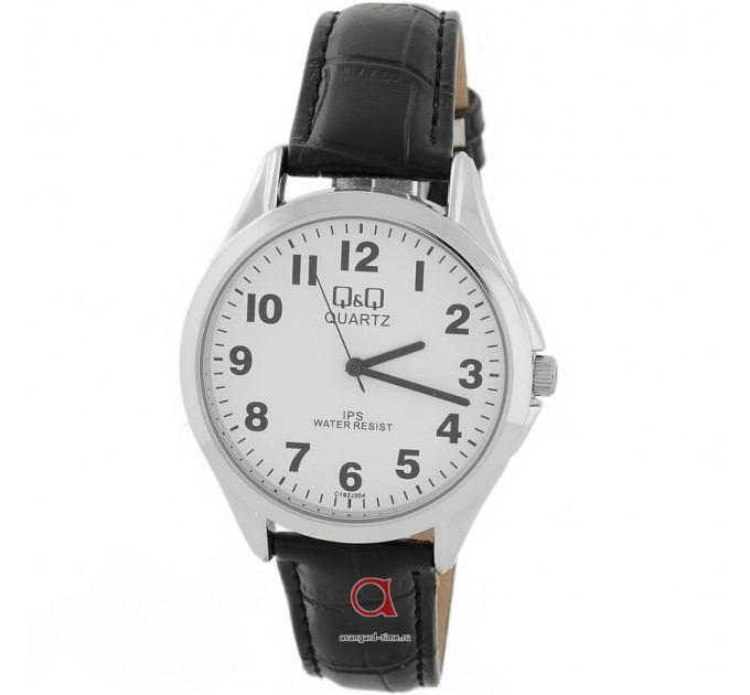 Часы наручные Q&Q C192J304Y хром