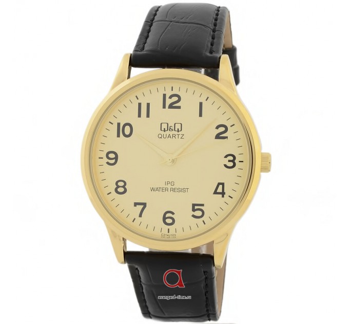 Наручные часы Q&Q C214J103Y