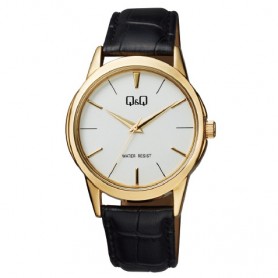 Часы наручные мужские Q&Q Q860-101